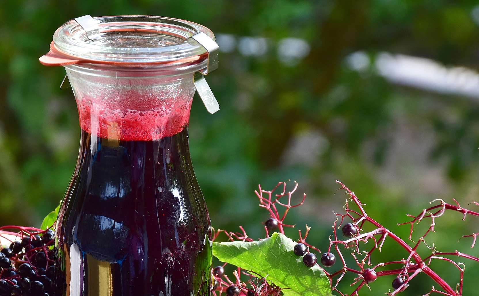 Simple elderberry syrup recipe